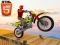 Leikur Bike Stunts á netinu
