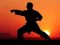 Leikur Karate Sunset Warriors á netinu