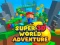 Leikur Super 3d World Adventure á netinu