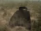 Leikur Tank Battle á netinu
