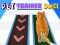 Leikur Pet Trainer Duel á netinu