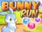Leikur Bunny Run á netinu