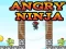 Leikur Angry Ninja á netinu