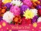 Leikur 2019 Mother's Day Puzzle á netinu