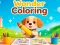 Leikur Wonder Coloring á netinu
