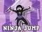 Leikur Ninja Jump á netinu