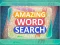 Leikur Amazing Word Search á netinu