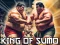 Leikur King Of Sumo the ultimate brawl á netinu