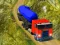 Leikur Indian Cargo Truck Simulator á netinu
