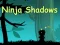 Leikur Ninja Shadows á netinu
