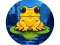 Leikur Frog Jumper á netinu