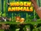Leikur Hidden Animals á netinu