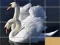Leikur Animals Slide Puzzle á netinu