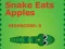 Leikur Snake Eats Apples á netinu