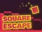 Leikur Square Escape á netinu