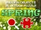 Leikur Hidjigs Spring á netinu