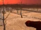 Leikur Wasteland Shooters á netinu