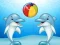 Leikur Dolphin Show á netinu