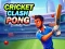 Leikur Cricket Clash Pong á netinu