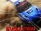 Leikur Nitro Rally Evolution á netinu