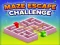 Leikur Maze Escape Challenge á netinu