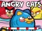 Leikur Angry Cats á netinu