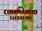 Leikur Commando Shooting á netinu