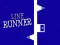 Leikur Line Runner á netinu