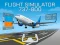 Leikur Flight Simulator 737-800 á netinu