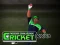 Leikur Cricket Fielder Challenge á netinu