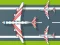 Leikur Flight Survival á netinu