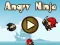 Leikur Angry Ninja á netinu