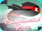 Leikur Samurai Run á netinu
