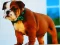 Leikur Bulldog Puppy Puzzle á netinu