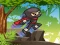 Leikur Ninja Jungle Adventures á netinu