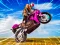 Leikur Crazy Wheelie Motorider á netinu