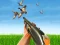 Leikur Bird Hunting á netinu