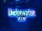 Leikur Underwater Aim á netinu