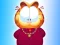 Leikur Garfield á netinu