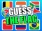 Leikur Guess The Flags á netinu