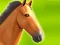 Leikur Horse Run 3D á netinu