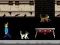 Leikur Streamer Fashion Run á netinu
