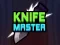 Leikur Knife Master á netinu