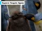 Leikur Emperor Penguin Jigsaw á netinu