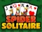 Leikur Spider Solitaire á netinu