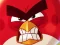 Leikur Angry Birds vs Pigs á netinu