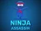 Leikur Ninja Assassin á netinu