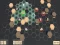 Leikur Turn Based á netinu