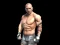 Leikur Fight Arena Online á netinu