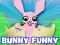 Leikur Bunny Funny á netinu